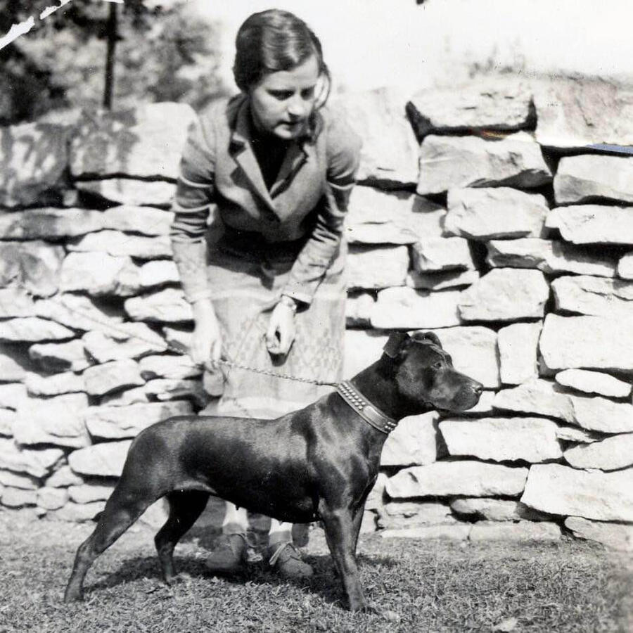 Wheeler's Black Dinah