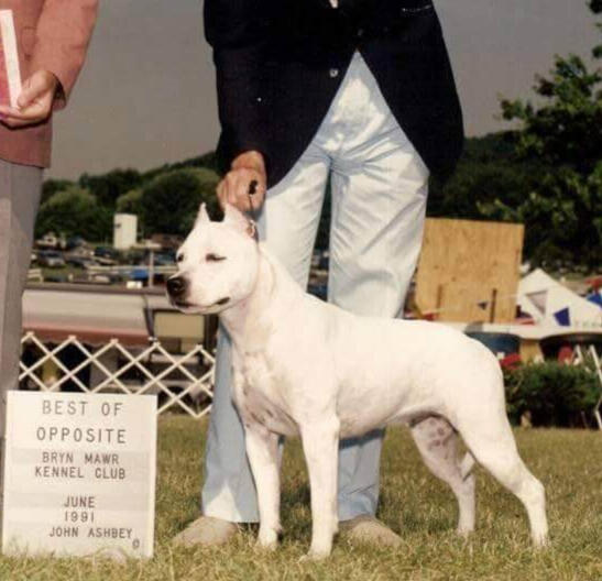 White CH Fraja EC Annie Get Your Gun